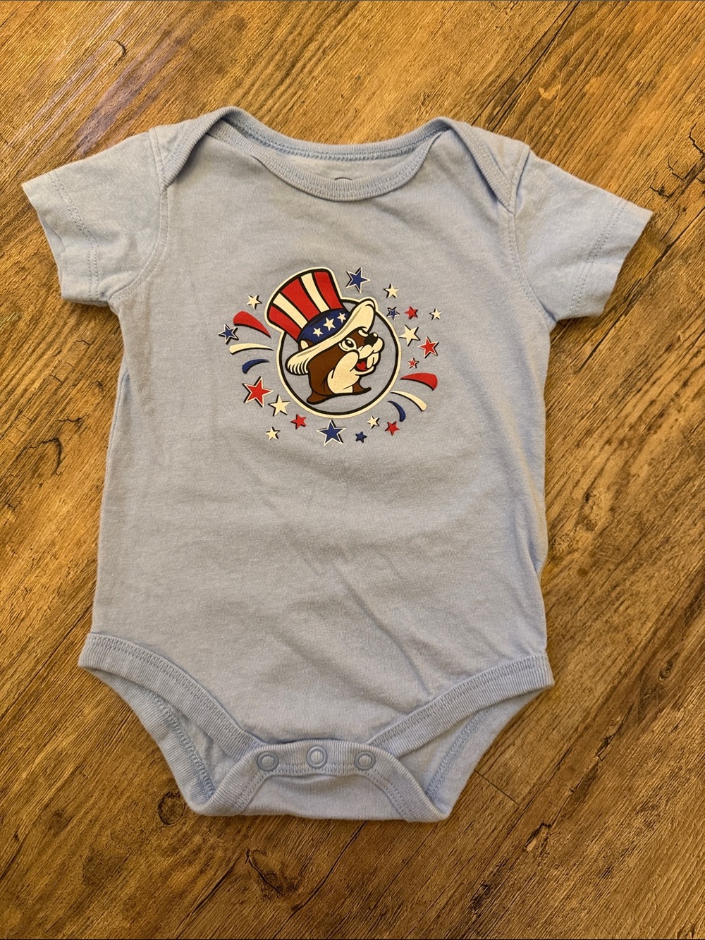 Light Blue Infant One-Piece with Patriotic Animal Graphic